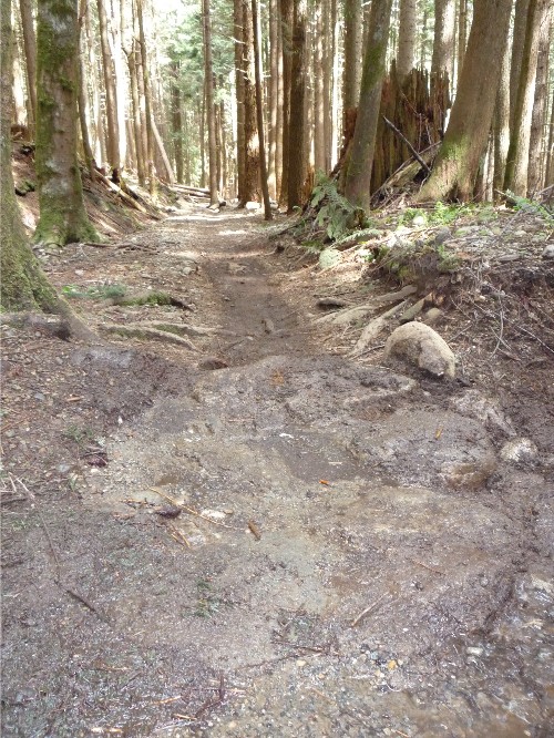 Ten minutes later: Water gone, trail drying