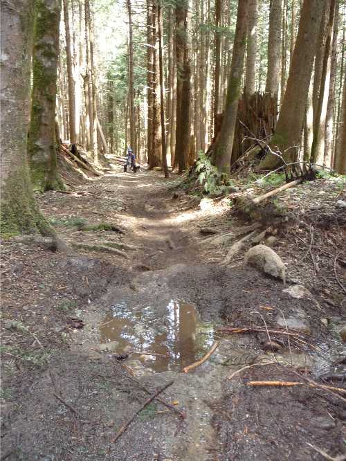Before: Standing water in the middle of the trail